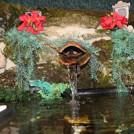 3 Panetes Peñacaballera